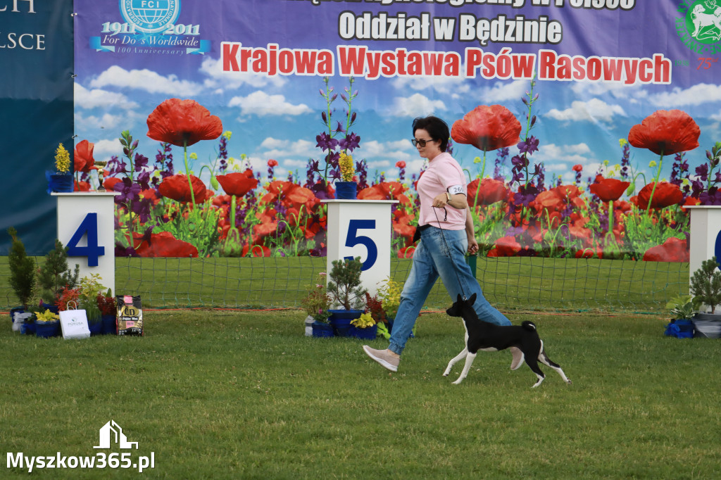 Fotorelacja I: Krajowa Wystawa Psów Rasowych w Gniazdowie Gmina Koziegłowy