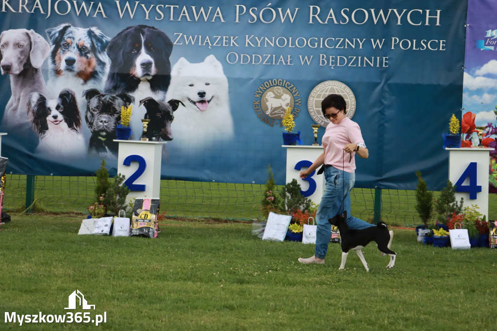 Fotorelacja I: Krajowa Wystawa Psów Rasowych w Gniazdowie Gmina Koziegłowy
