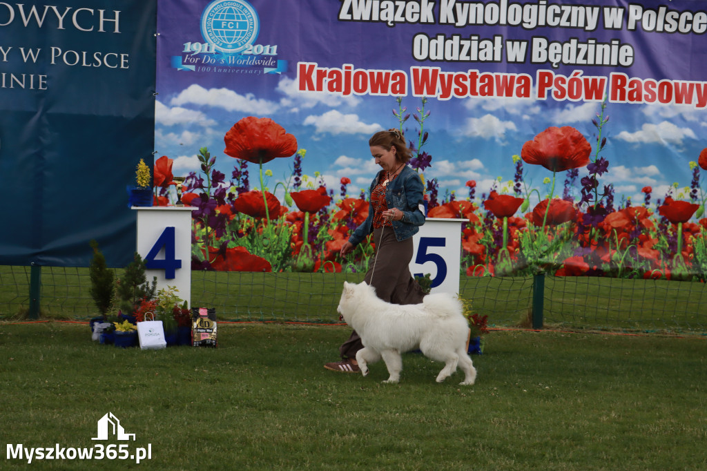 Fotorelacja I: Krajowa Wystawa Psów Rasowych w Gniazdowie Gmina Koziegłowy
