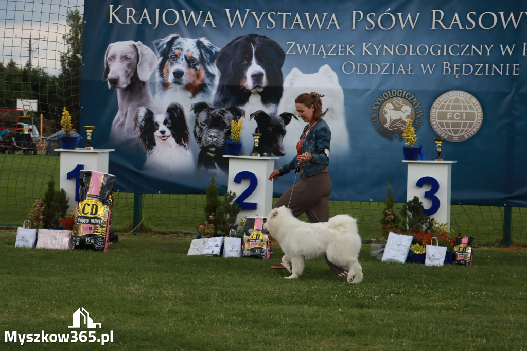 Fotorelacja I: Krajowa Wystawa Psów Rasowych w Gniazdowie Gmina Koziegłowy