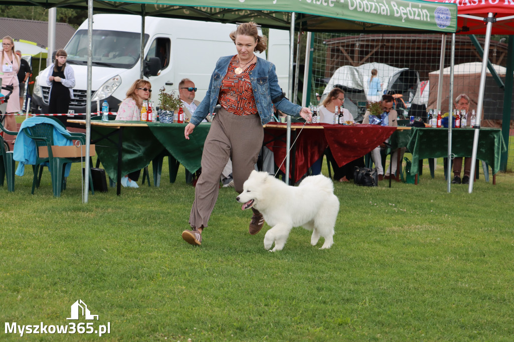 Fotorelacja I: Krajowa Wystawa Psów Rasowych w Gniazdowie Gmina Koziegłowy