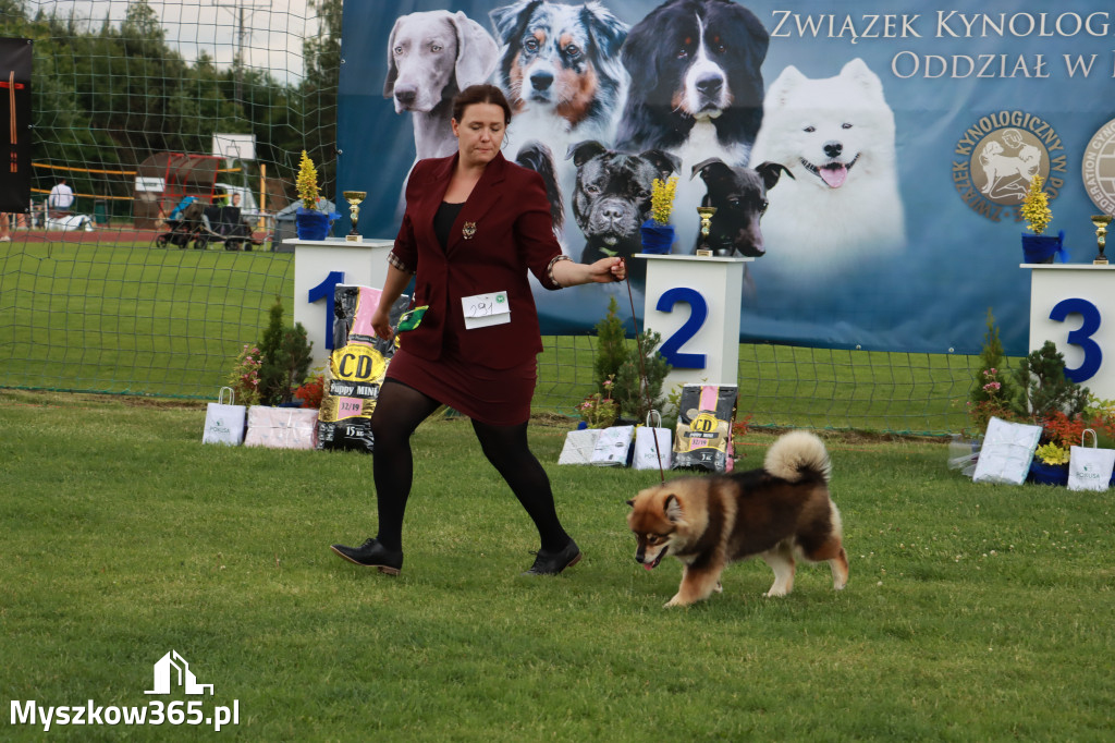 Fotorelacja I: Krajowa Wystawa Psów Rasowych w Gniazdowie Gmina Koziegłowy