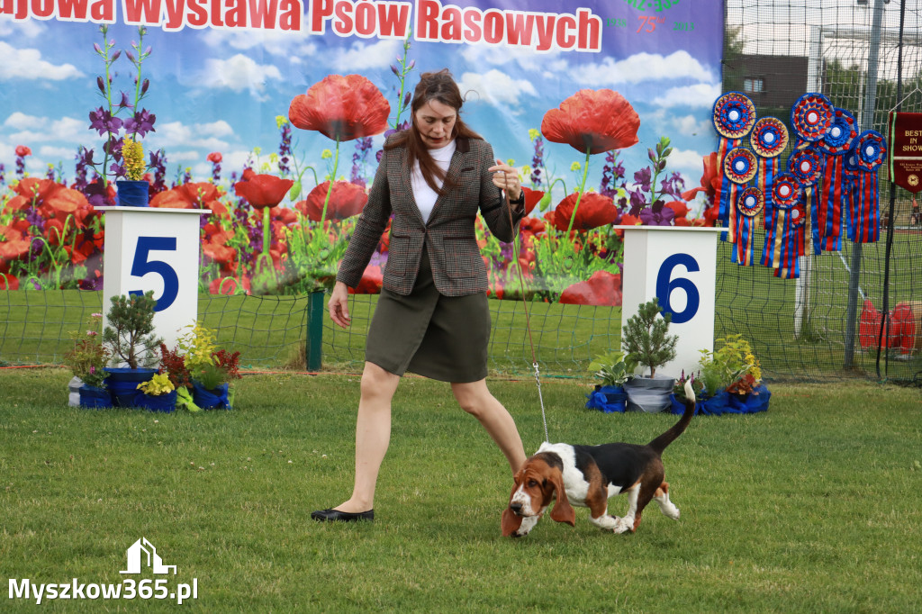 Fotorelacja I: Krajowa Wystawa Psów Rasowych w Gniazdowie Gmina Koziegłowy