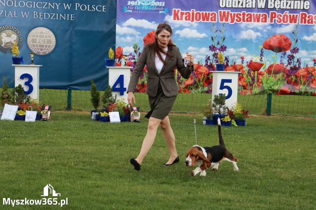 Fotorelacja I: Krajowa Wystawa Psów Rasowych w Gniazdowie Gmina Koziegłowy