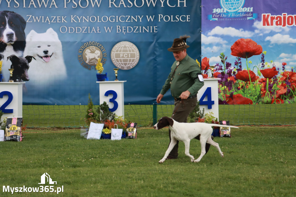 Fotorelacja I: Krajowa Wystawa Psów Rasowych w Gniazdowie Gmina Koziegłowy