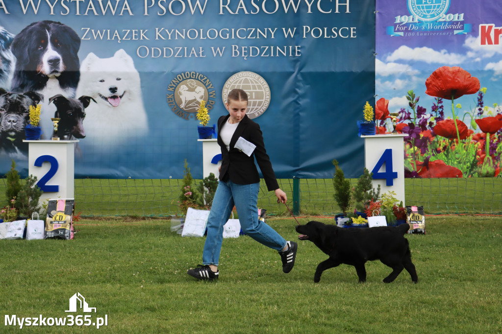 Fotorelacja I: Krajowa Wystawa Psów Rasowych w Gniazdowie Gmina Koziegłowy