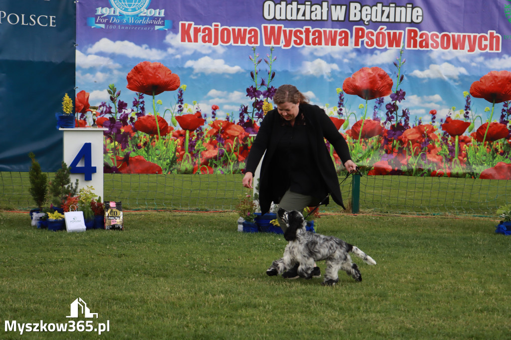 Fotorelacja I: Krajowa Wystawa Psów Rasowych w Gniazdowie Gmina Koziegłowy