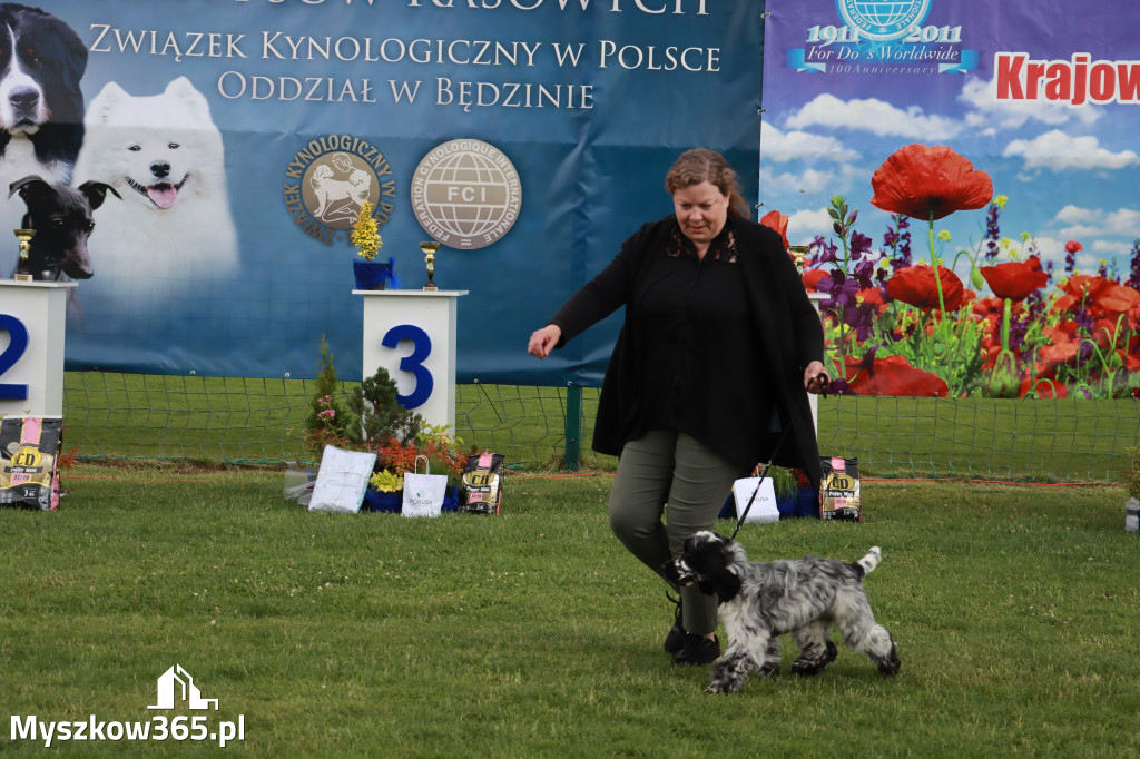 Fotorelacja I: Krajowa Wystawa Psów Rasowych w Gniazdowie Gmina Koziegłowy
