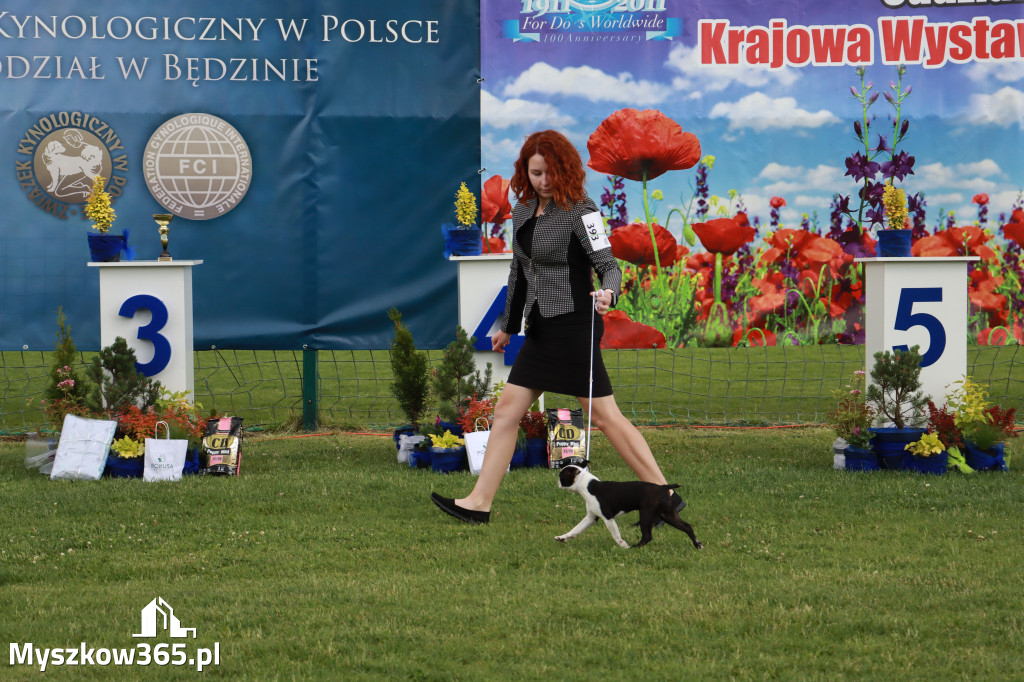 Fotorelacja I: Krajowa Wystawa Psów Rasowych w Gniazdowie Gmina Koziegłowy