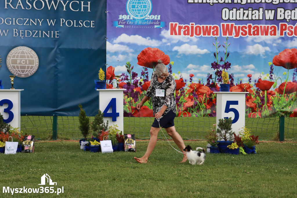 Fotorelacja I: Krajowa Wystawa Psów Rasowych w Gniazdowie Gmina Koziegłowy