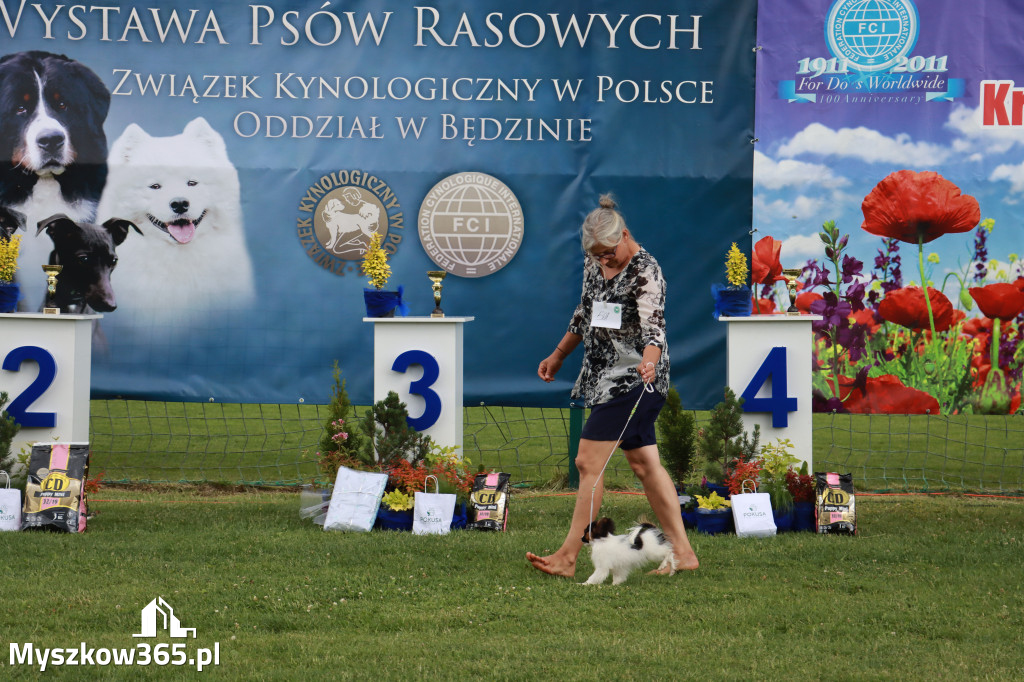 Fotorelacja I: Krajowa Wystawa Psów Rasowych w Gniazdowie Gmina Koziegłowy