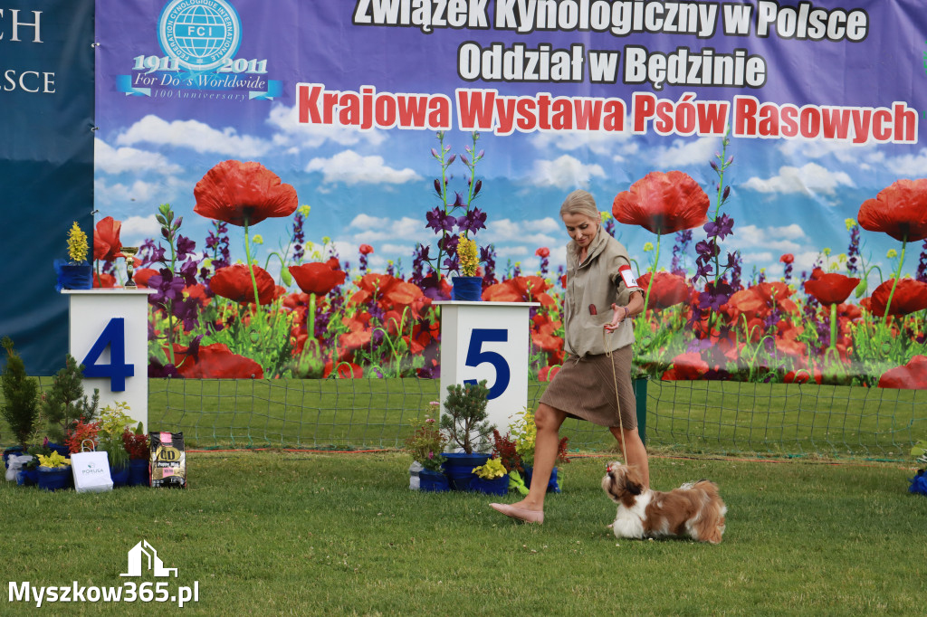 Fotorelacja I: Krajowa Wystawa Psów Rasowych w Gniazdowie Gmina Koziegłowy
