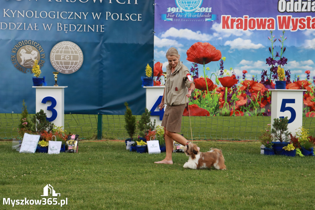 Fotorelacja I: Krajowa Wystawa Psów Rasowych w Gniazdowie Gmina Koziegłowy