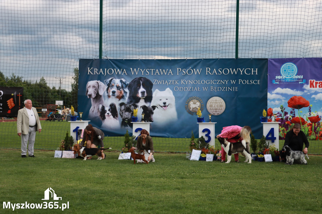 Fotorelacja I: Krajowa Wystawa Psów Rasowych w Gniazdowie Gmina Koziegłowy