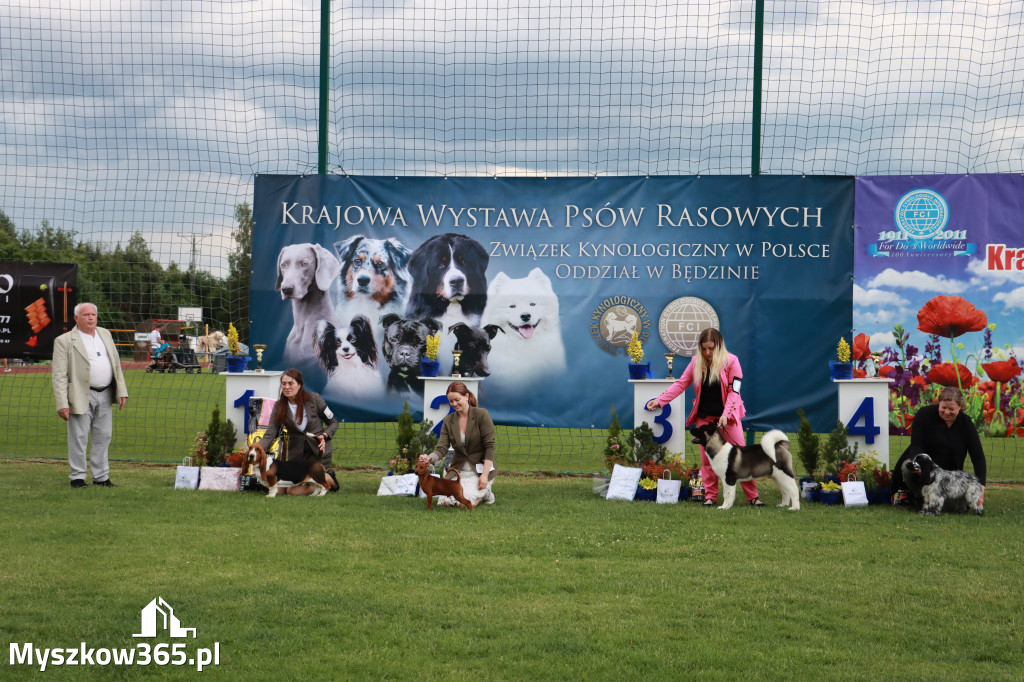 Fotorelacja I: Krajowa Wystawa Psów Rasowych w Gniazdowie Gmina Koziegłowy