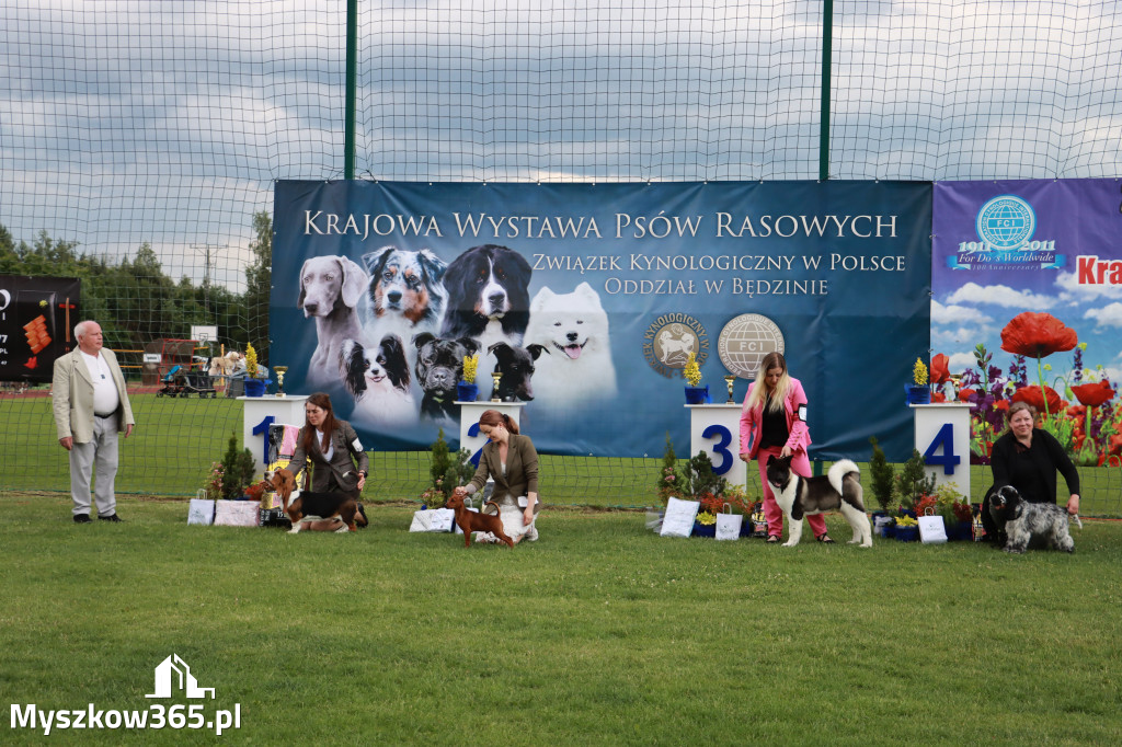 Fotorelacja I: Krajowa Wystawa Psów Rasowych w Gniazdowie Gmina Koziegłowy