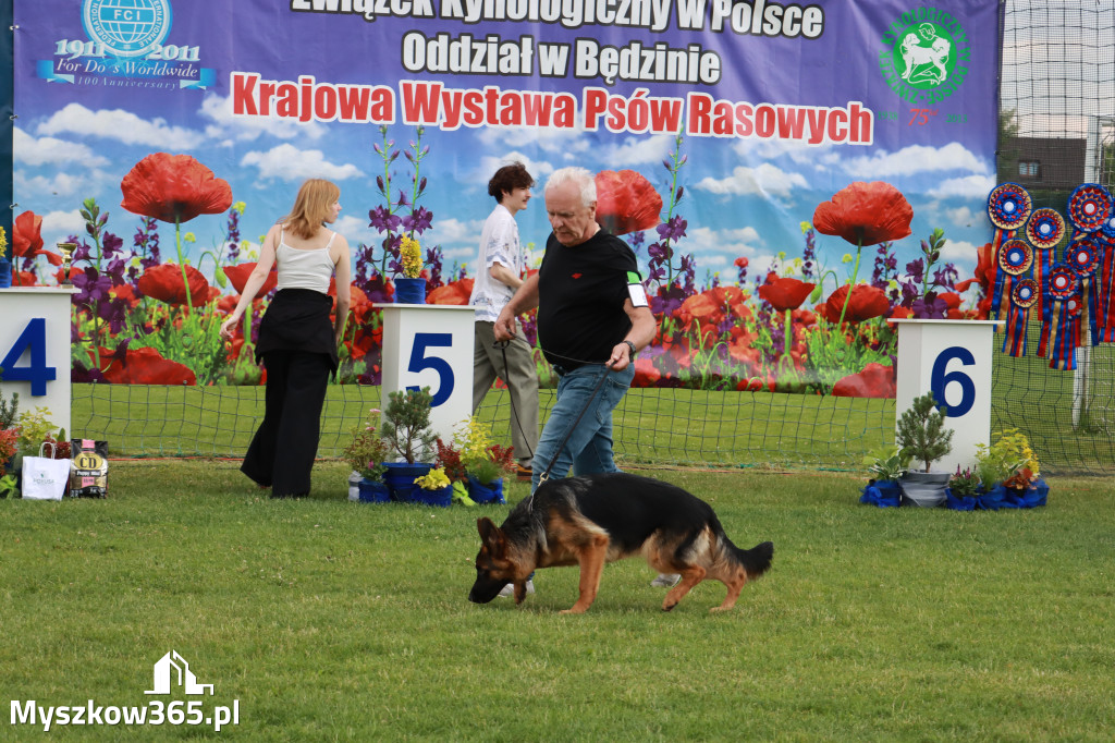 Fotorelacja II: Krajowa Wystawa Psów Rasowych w Gniazdowie Gmina Koziegłowy