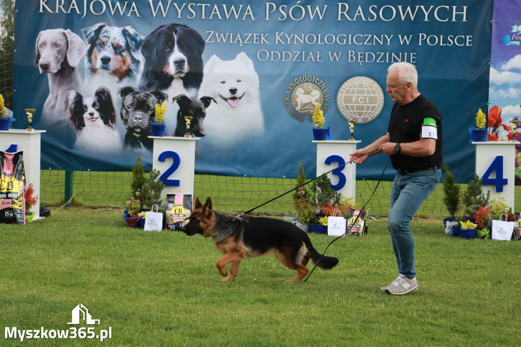 Fotorelacja II: Krajowa Wystawa Psów Rasowych w Gniazdowie Gmina Koziegłowy