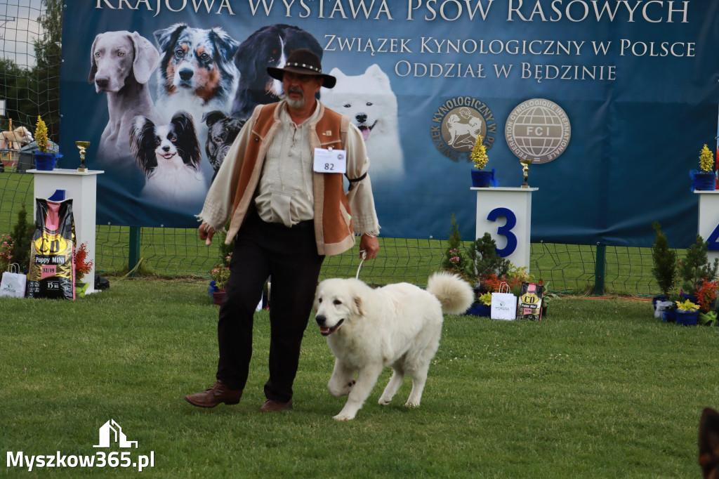 Fotorelacja II: Krajowa Wystawa Psów Rasowych w Gniazdowie Gmina Koziegłowy