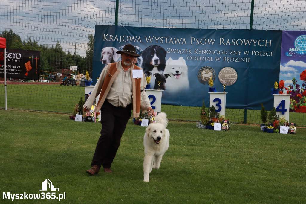 Fotorelacja II: Krajowa Wystawa Psów Rasowych w Gniazdowie Gmina Koziegłowy
