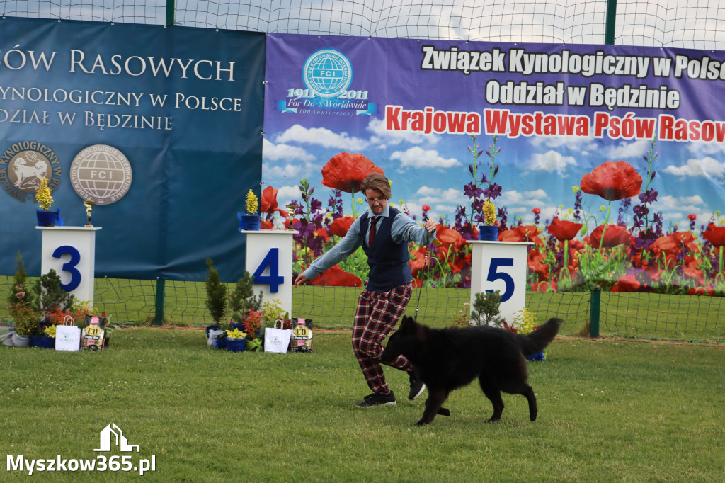 Fotorelacja II: Krajowa Wystawa Psów Rasowych w Gniazdowie Gmina Koziegłowy
