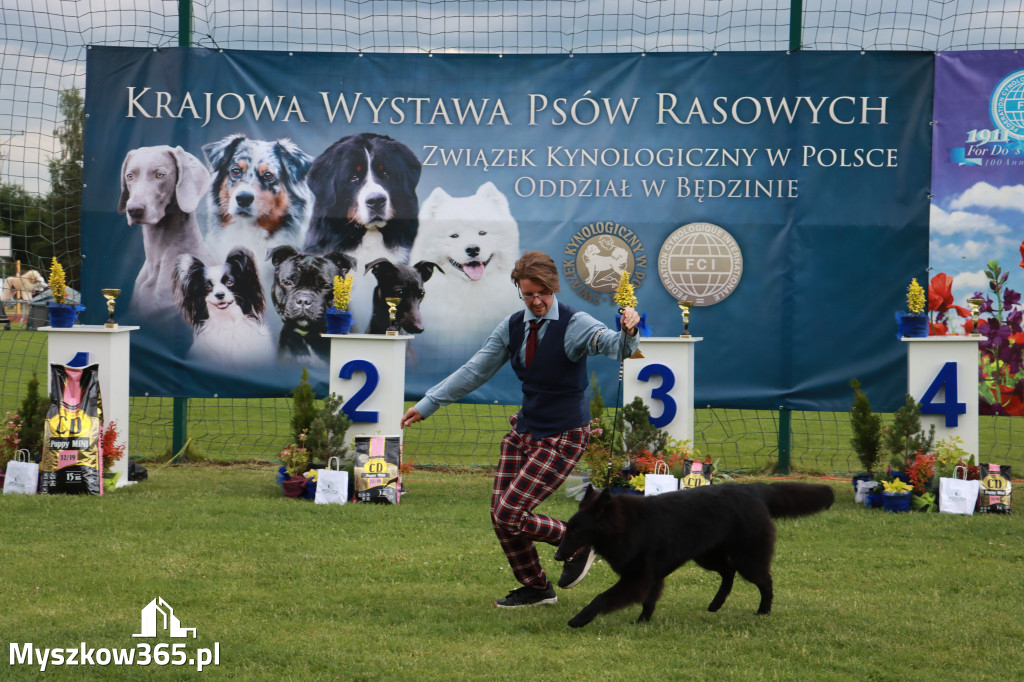 Fotorelacja II: Krajowa Wystawa Psów Rasowych w Gniazdowie Gmina Koziegłowy