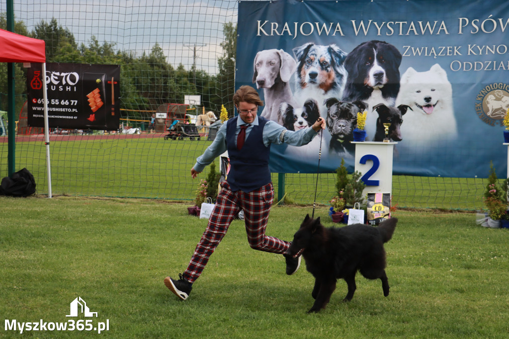 Fotorelacja II: Krajowa Wystawa Psów Rasowych w Gniazdowie Gmina Koziegłowy