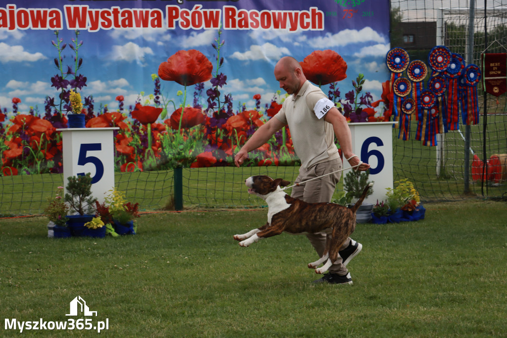 Fotorelacja II: Krajowa Wystawa Psów Rasowych w Gniazdowie Gmina Koziegłowy