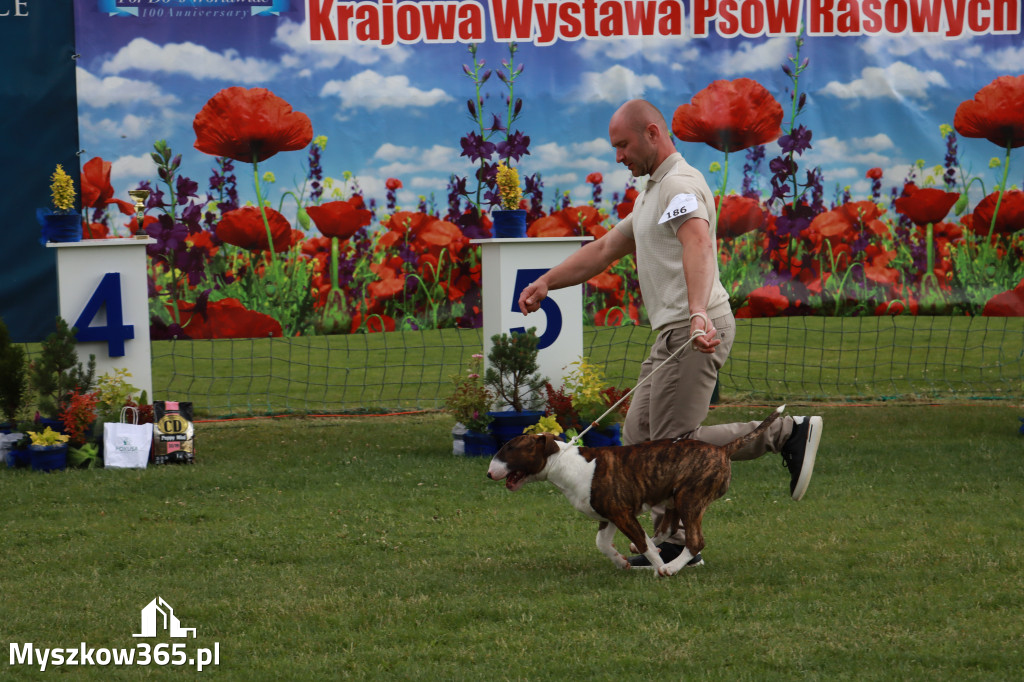 Fotorelacja II: Krajowa Wystawa Psów Rasowych w Gniazdowie Gmina Koziegłowy
