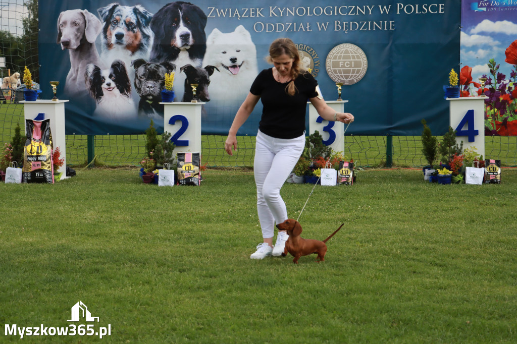 Fotorelacja II: Krajowa Wystawa Psów Rasowych w Gniazdowie Gmina Koziegłowy