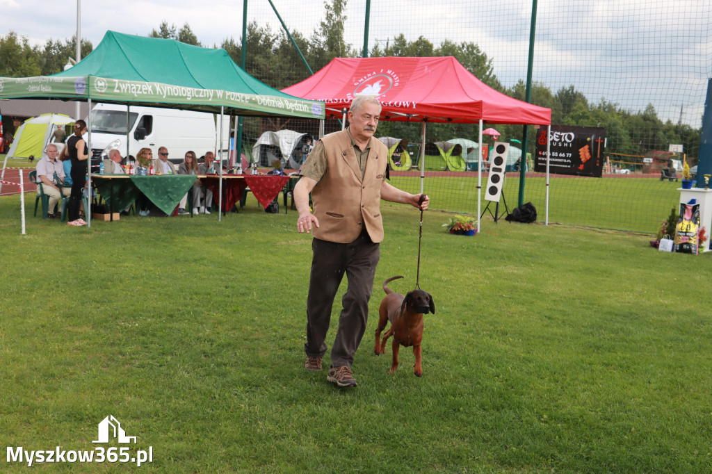 Fotorelacja II: Krajowa Wystawa Psów Rasowych w Gniazdowie Gmina Koziegłowy