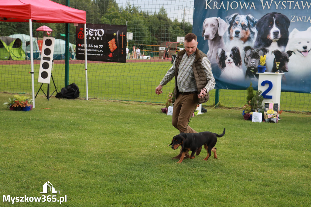 Fotorelacja II: Krajowa Wystawa Psów Rasowych w Gniazdowie Gmina Koziegłowy