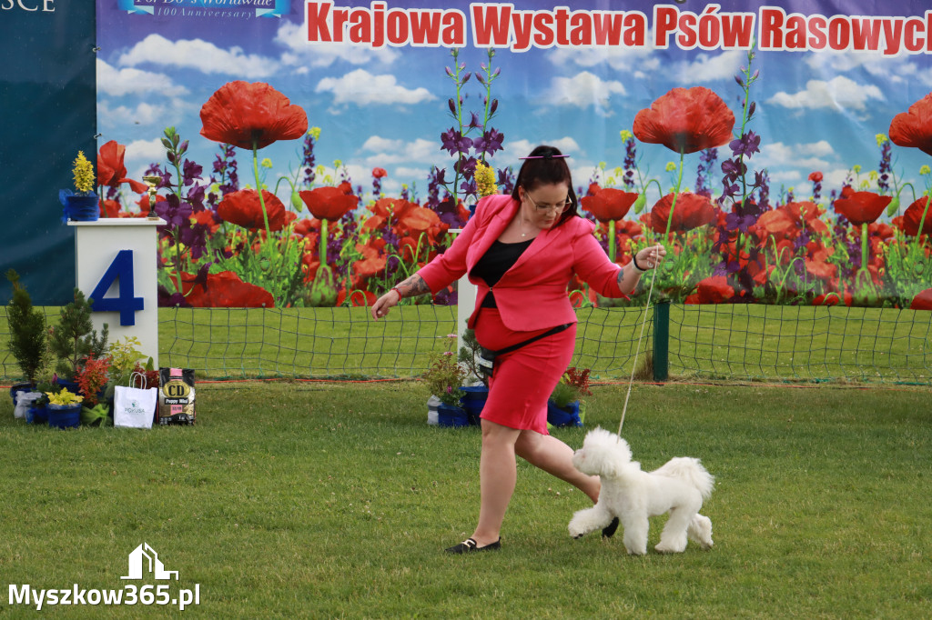 Fotorelacja II: Krajowa Wystawa Psów Rasowych w Gniazdowie Gmina Koziegłowy
