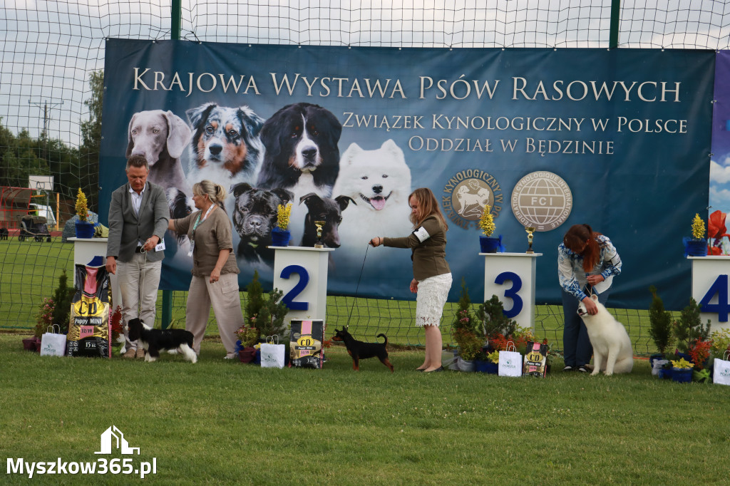 Fotorelacja II: Krajowa Wystawa Psów Rasowych w Gniazdowie Gmina Koziegłowy