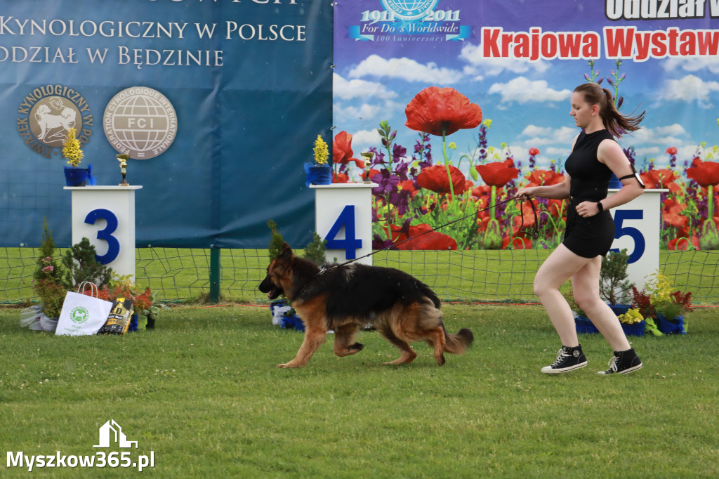 Fotorelacja II: Krajowa Wystawa Psów Rasowych w Gniazdowie Gmina Koziegłowy