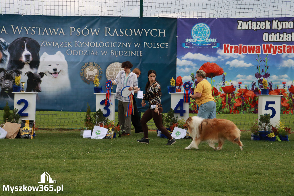 Fotorelacja II: Krajowa Wystawa Psów Rasowych w Gniazdowie Gmina Koziegłowy