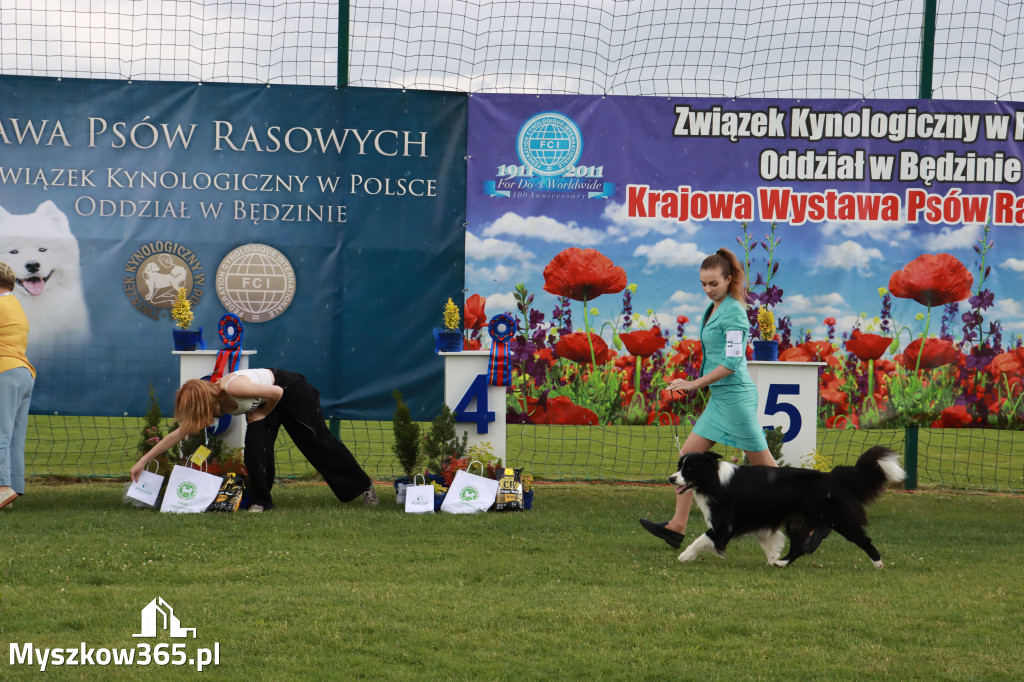 Fotorelacja II: Krajowa Wystawa Psów Rasowych w Gniazdowie Gmina Koziegłowy