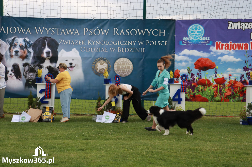 Fotorelacja II: Krajowa Wystawa Psów Rasowych w Gniazdowie Gmina Koziegłowy