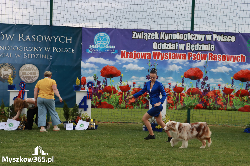 Fotorelacja II: Krajowa Wystawa Psów Rasowych w Gniazdowie Gmina Koziegłowy