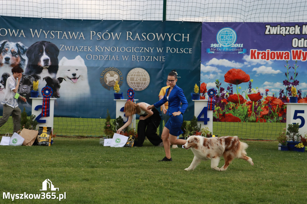 Fotorelacja II: Krajowa Wystawa Psów Rasowych w Gniazdowie Gmina Koziegłowy