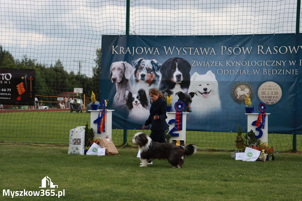 Fotorelacja II: Krajowa Wystawa Psów Rasowych w Gniazdowie Gmina Koziegłowy