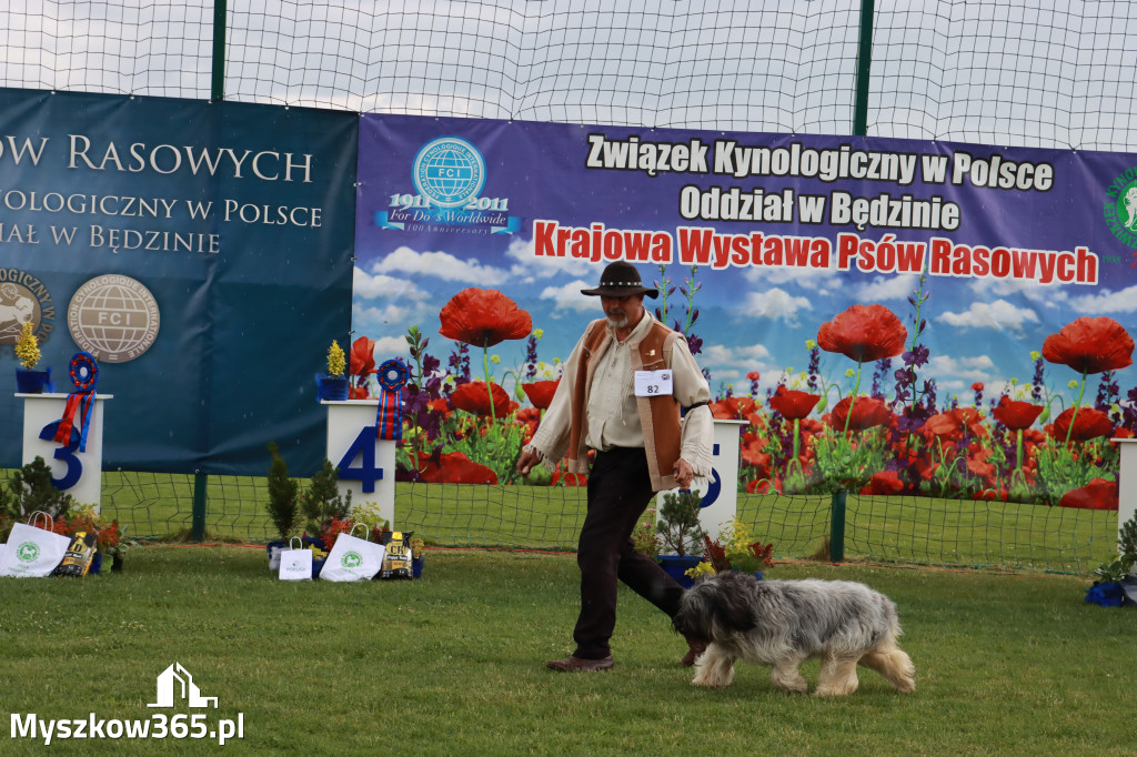 Fotorelacja II: Krajowa Wystawa Psów Rasowych w Gniazdowie Gmina Koziegłowy
