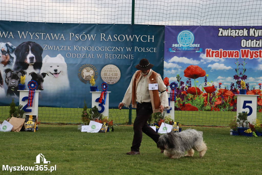 Fotorelacja II: Krajowa Wystawa Psów Rasowych w Gniazdowie Gmina Koziegłowy