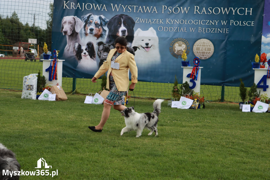 Fotorelacja II: Krajowa Wystawa Psów Rasowych w Gniazdowie Gmina Koziegłowy