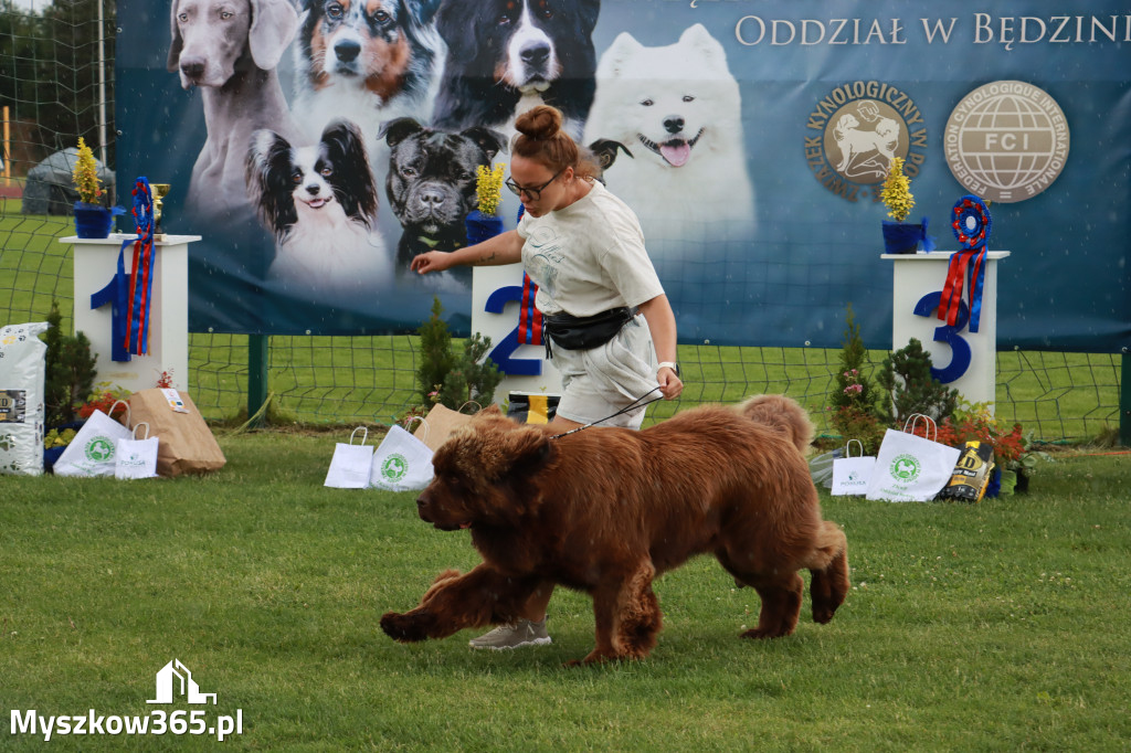 Fotorelacja II: Krajowa Wystawa Psów Rasowych w Gniazdowie Gmina Koziegłowy