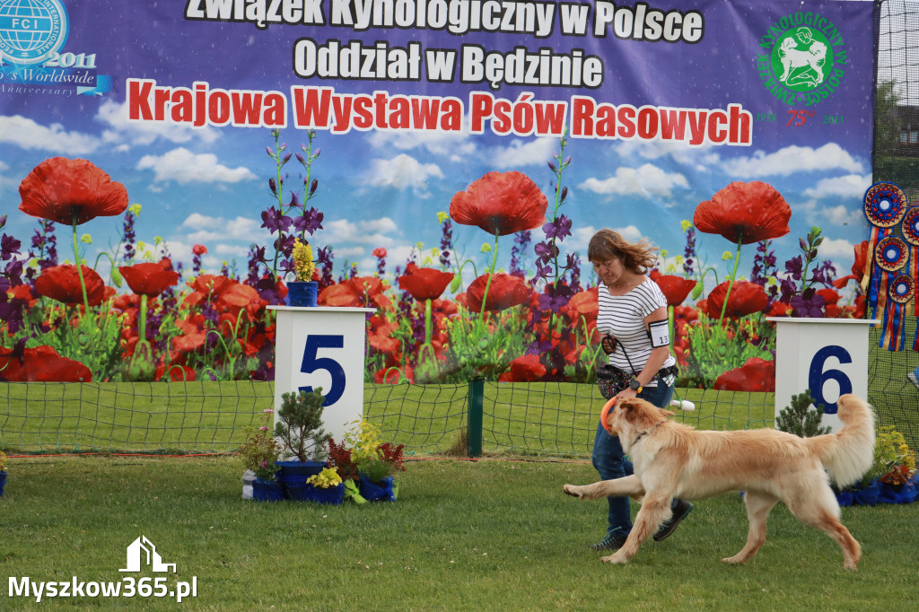 Fotorelacja II: Krajowa Wystawa Psów Rasowych w Gniazdowie Gmina Koziegłowy