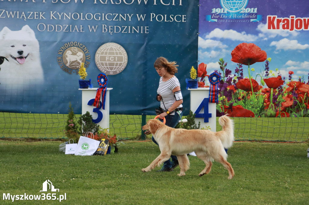 Fotorelacja II: Krajowa Wystawa Psów Rasowych w Gniazdowie Gmina Koziegłowy