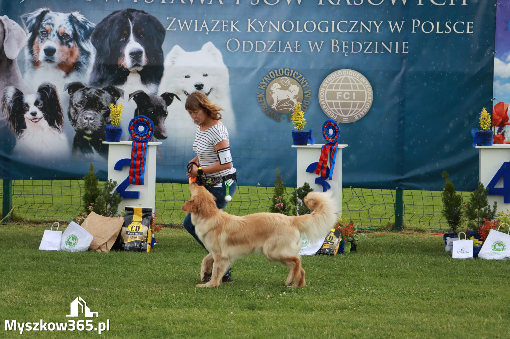 Fotorelacja II: Krajowa Wystawa Psów Rasowych w Gniazdowie Gmina Koziegłowy