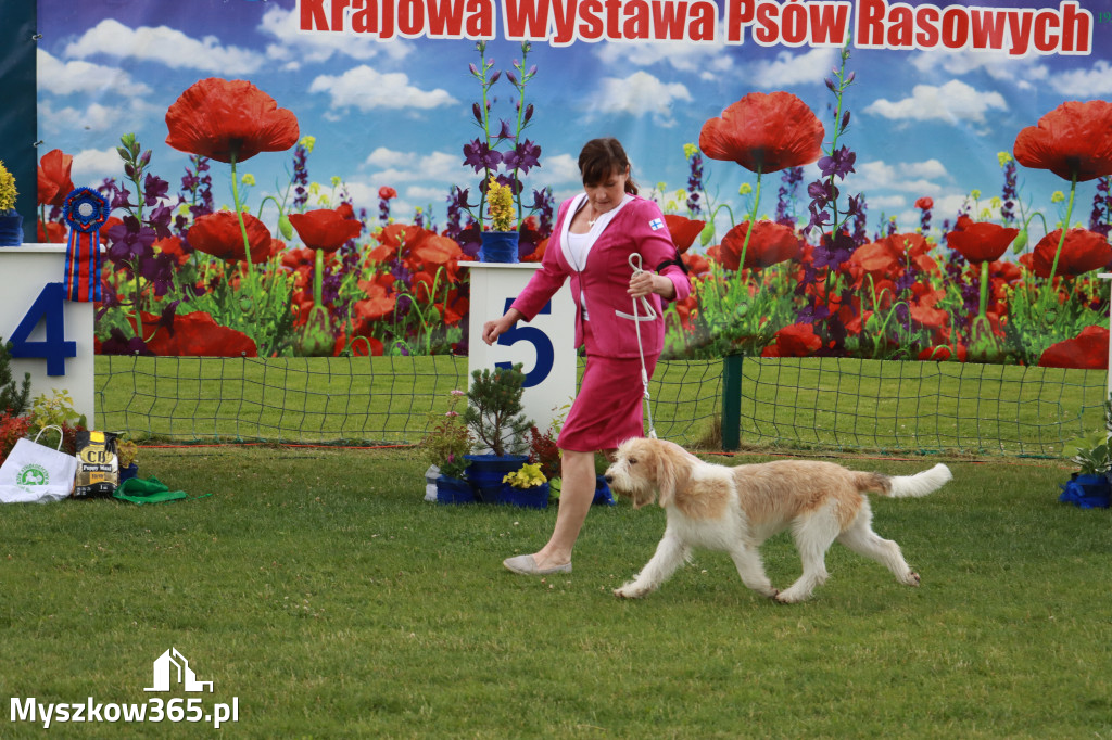 Fotorelacja II: Krajowa Wystawa Psów Rasowych w Gniazdowie Gmina Koziegłowy