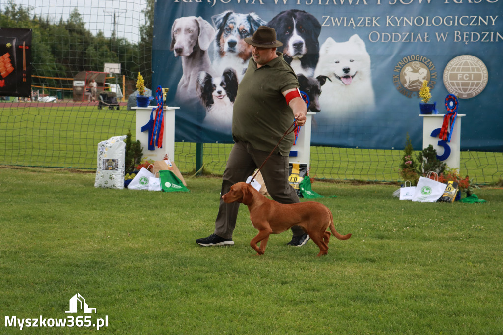 Fotorelacja II: Krajowa Wystawa Psów Rasowych w Gniazdowie Gmina Koziegłowy
